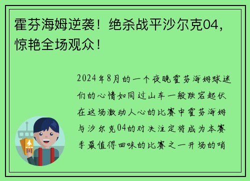 霍芬海姆逆袭！绝杀战平沙尔克04，惊艳全场观众！