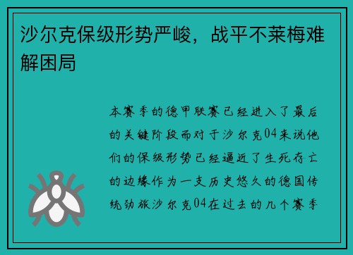 沙尔克保级形势严峻，战平不莱梅难解困局